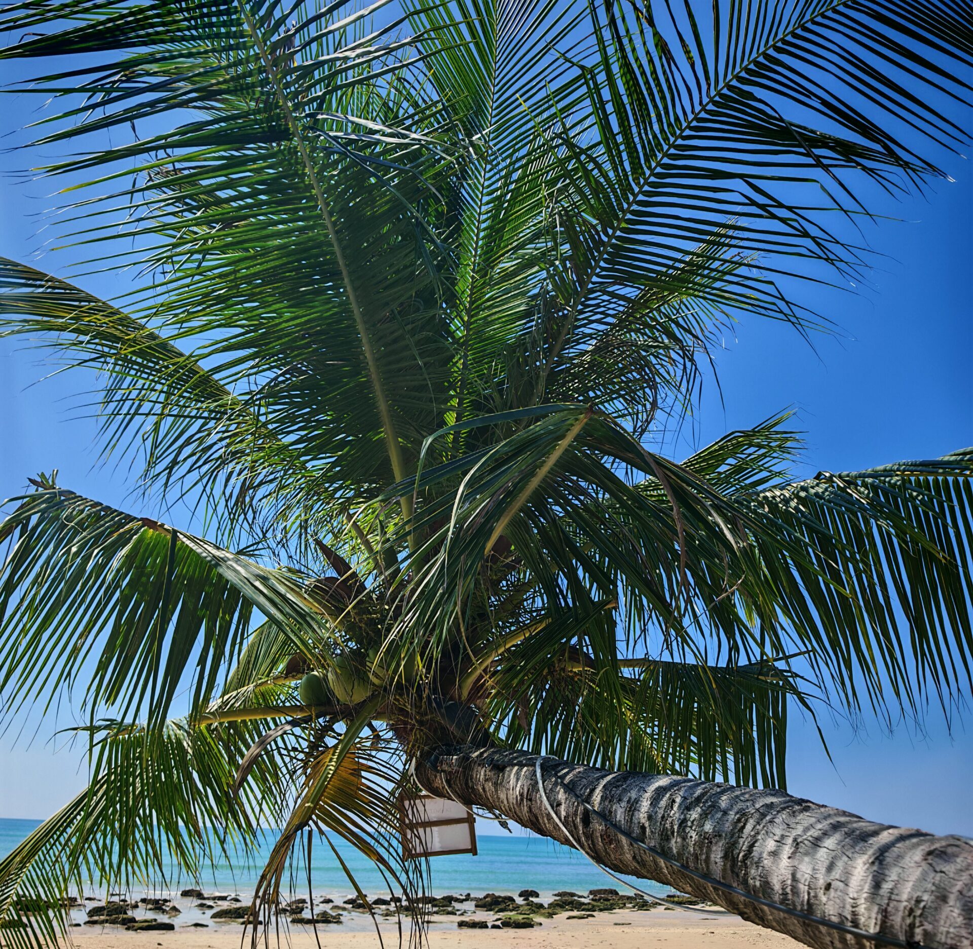 IMG 20251201 133127 scaled e1768221105336